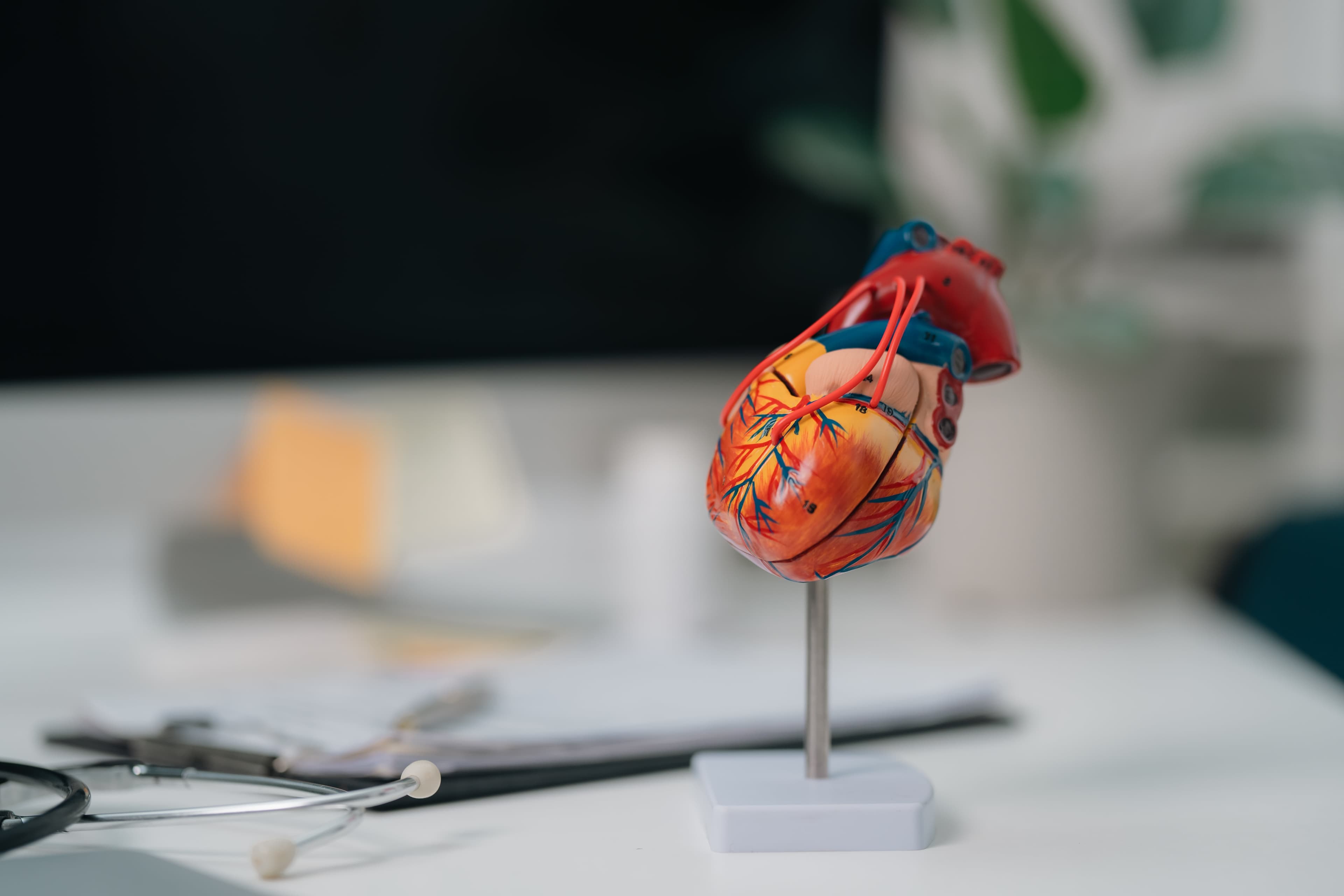 Echocardiography